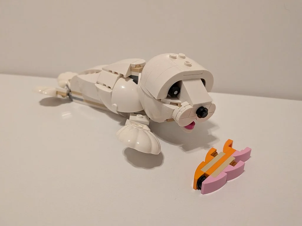 31133i.jpg