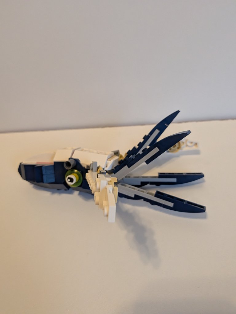 31088o.jpg
