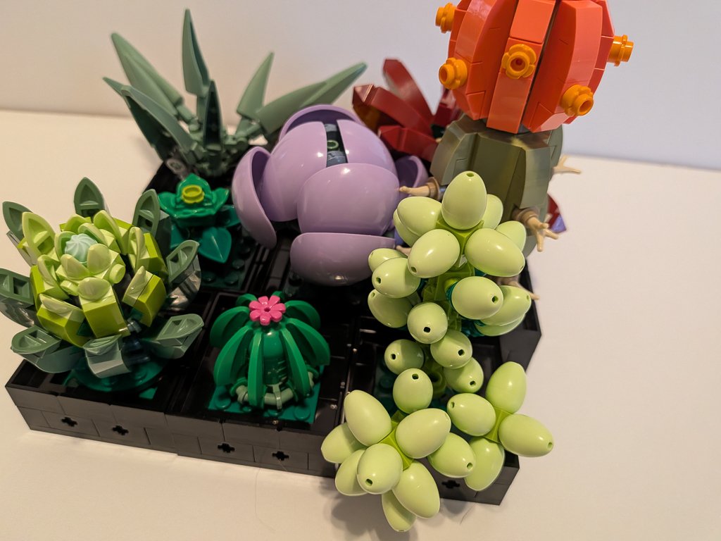 10309c.jpg