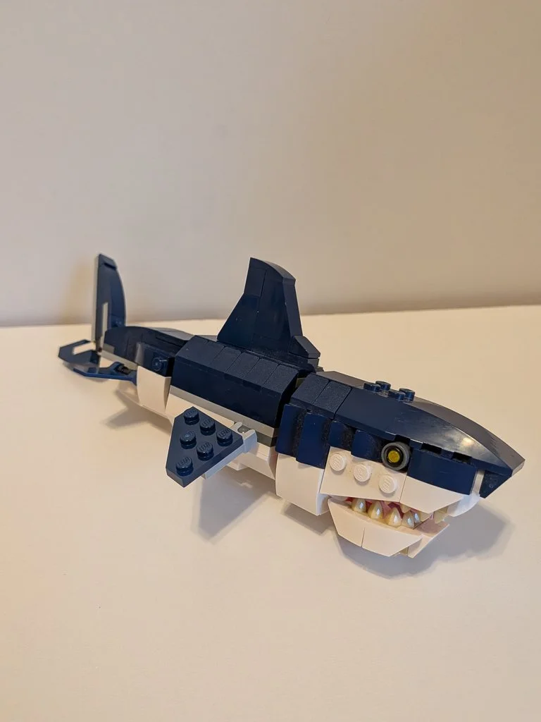 31088j.jpg