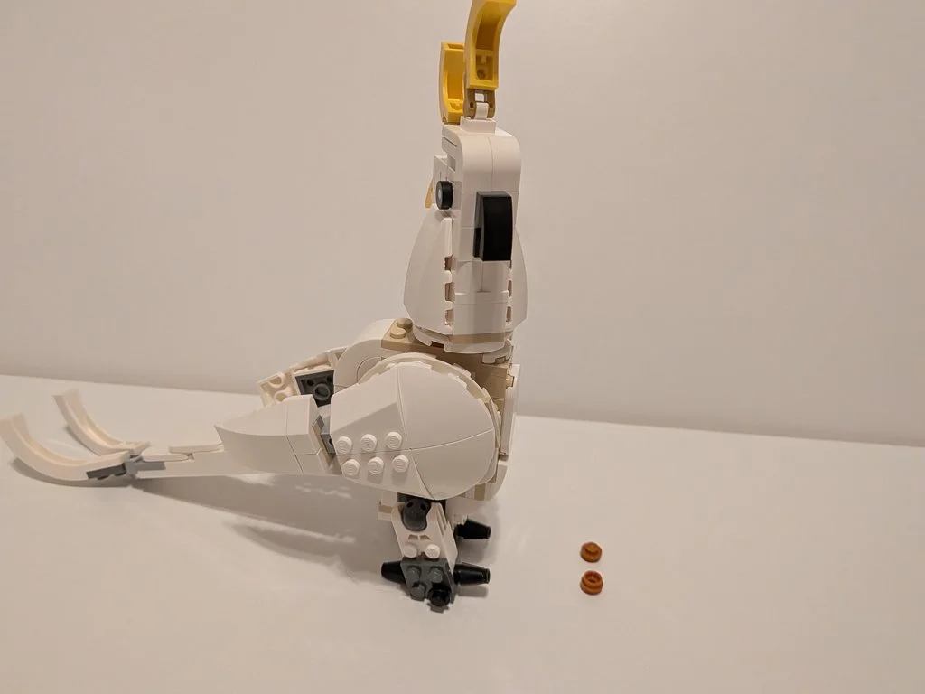 31133y.jpg