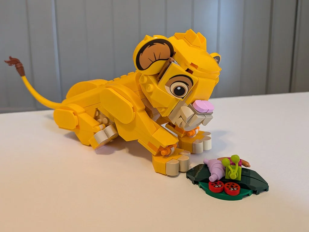 43243b.jpg