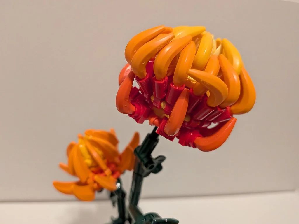10368g.jpg