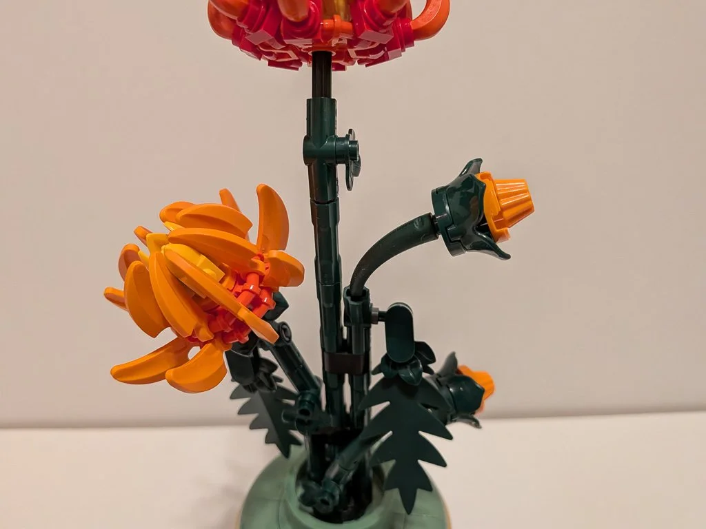 10368h.jpg
