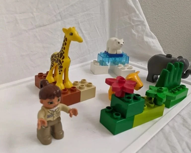 Baby Zoo (SBC)
