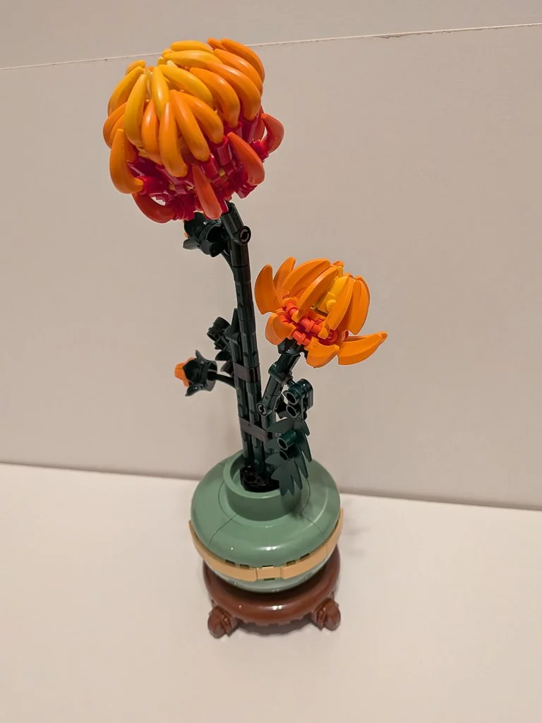 10368d.jpg