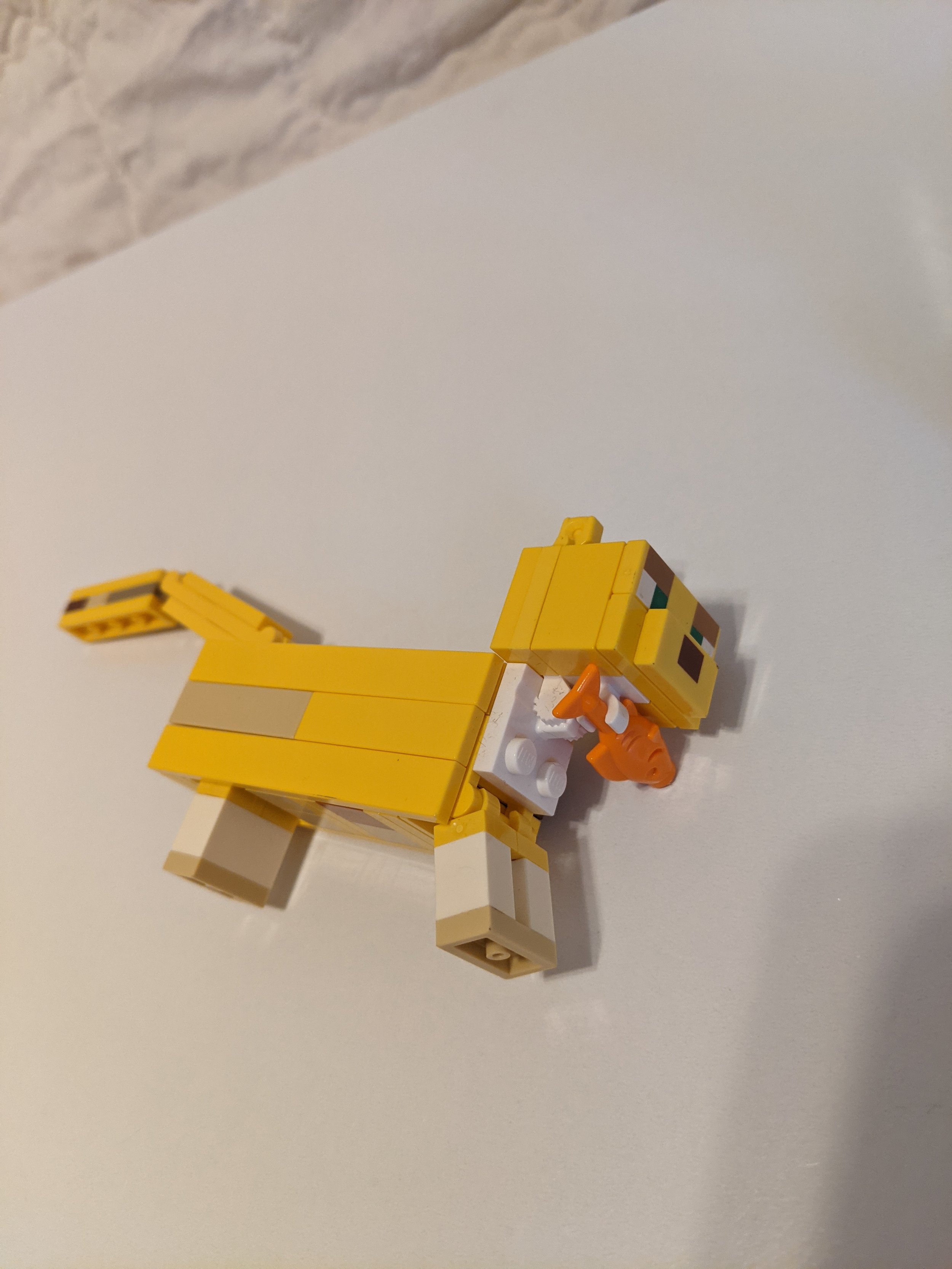 21156c.jpg