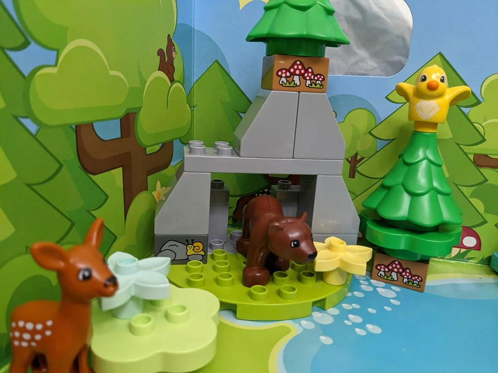 Wild Animals of Europe (SBC)