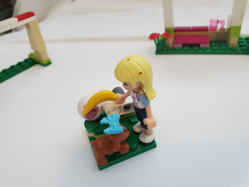 41011d.jpg