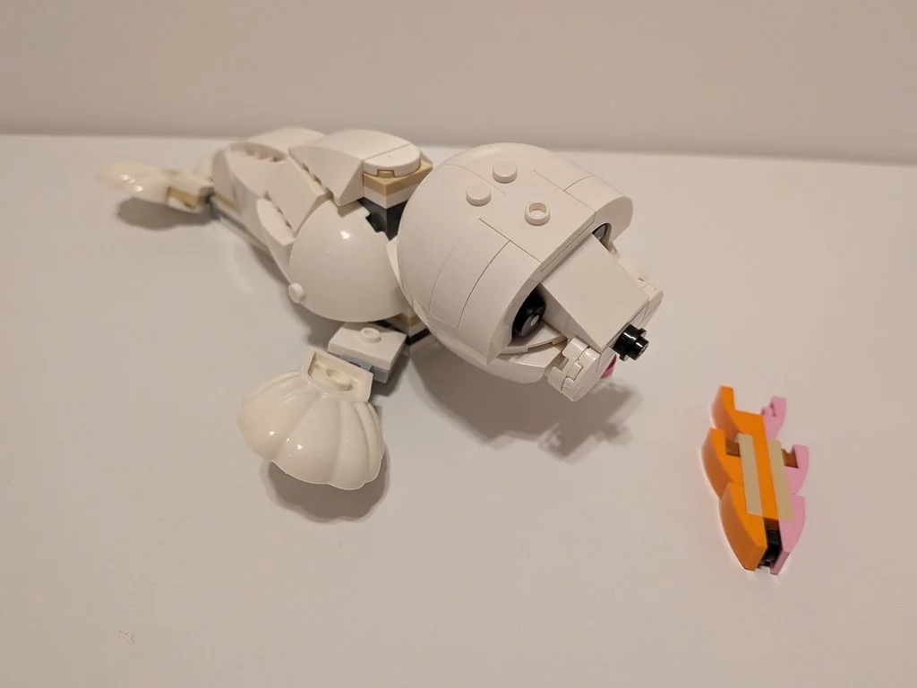 31133g.jpg