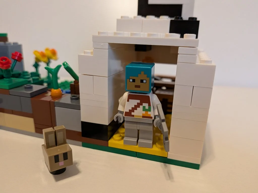 21181e.jpg