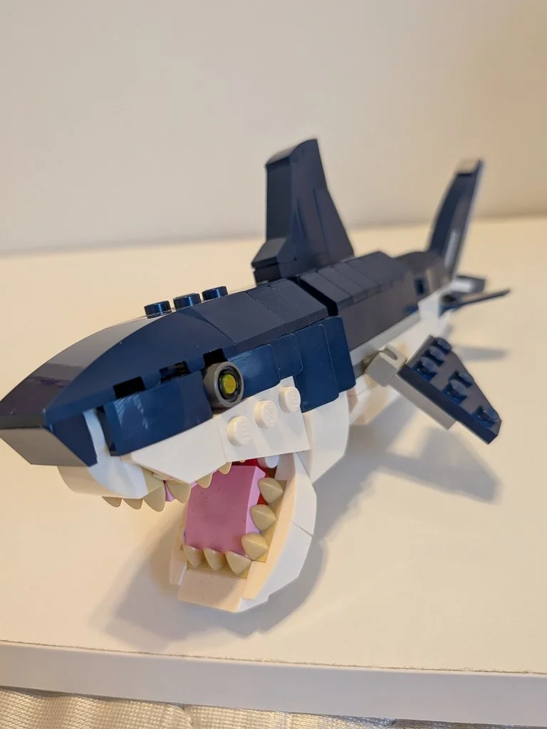 31088l.jpg
