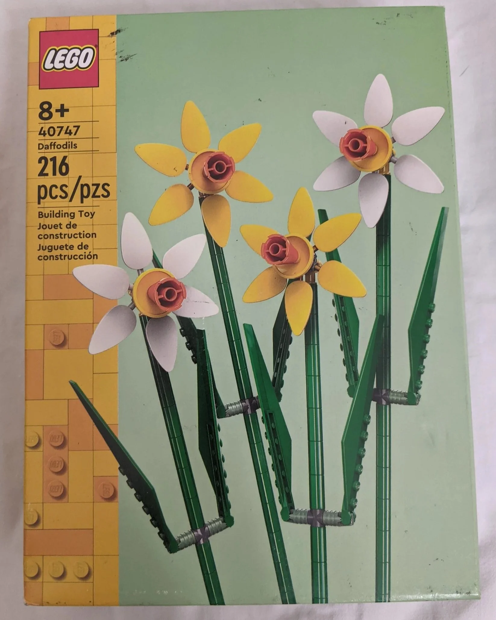 Daffodils (IMP)