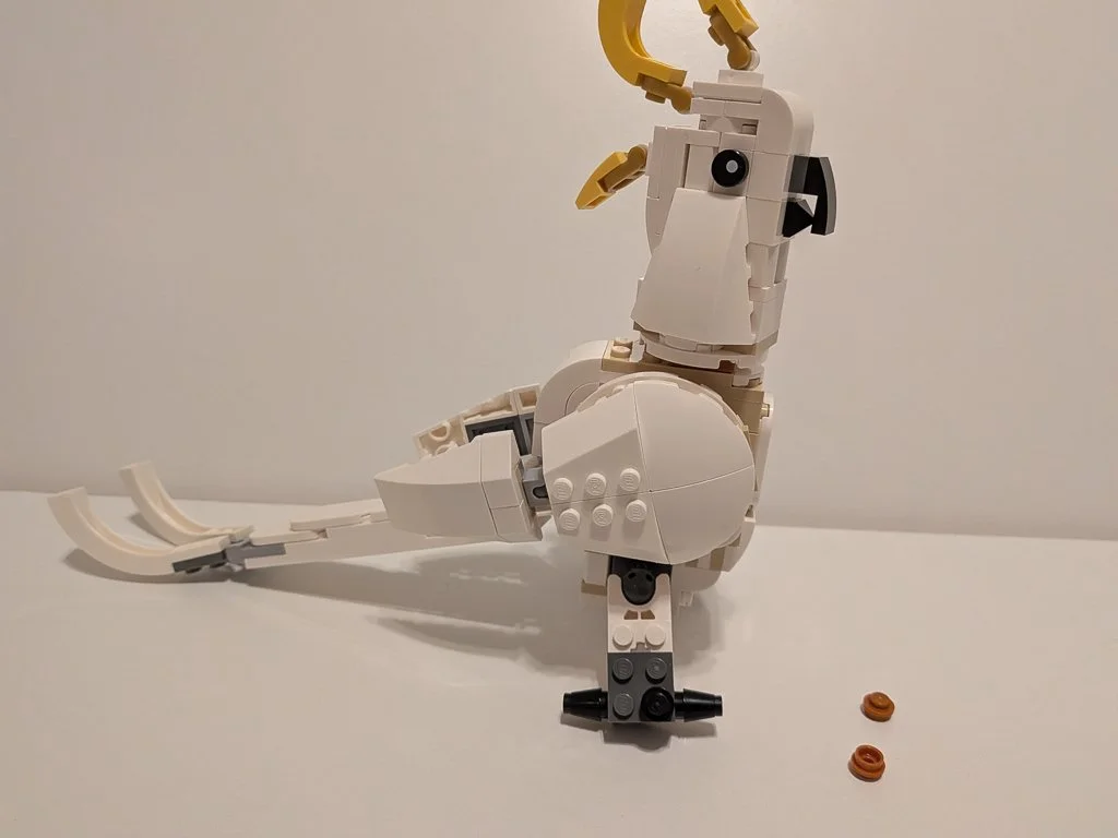 31133v.jpg
