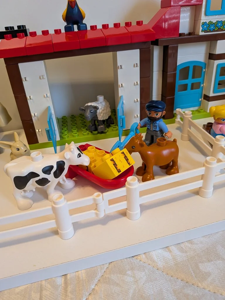 10869e.jpg