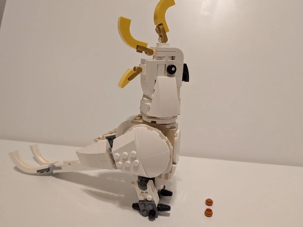 31133z.jpg
