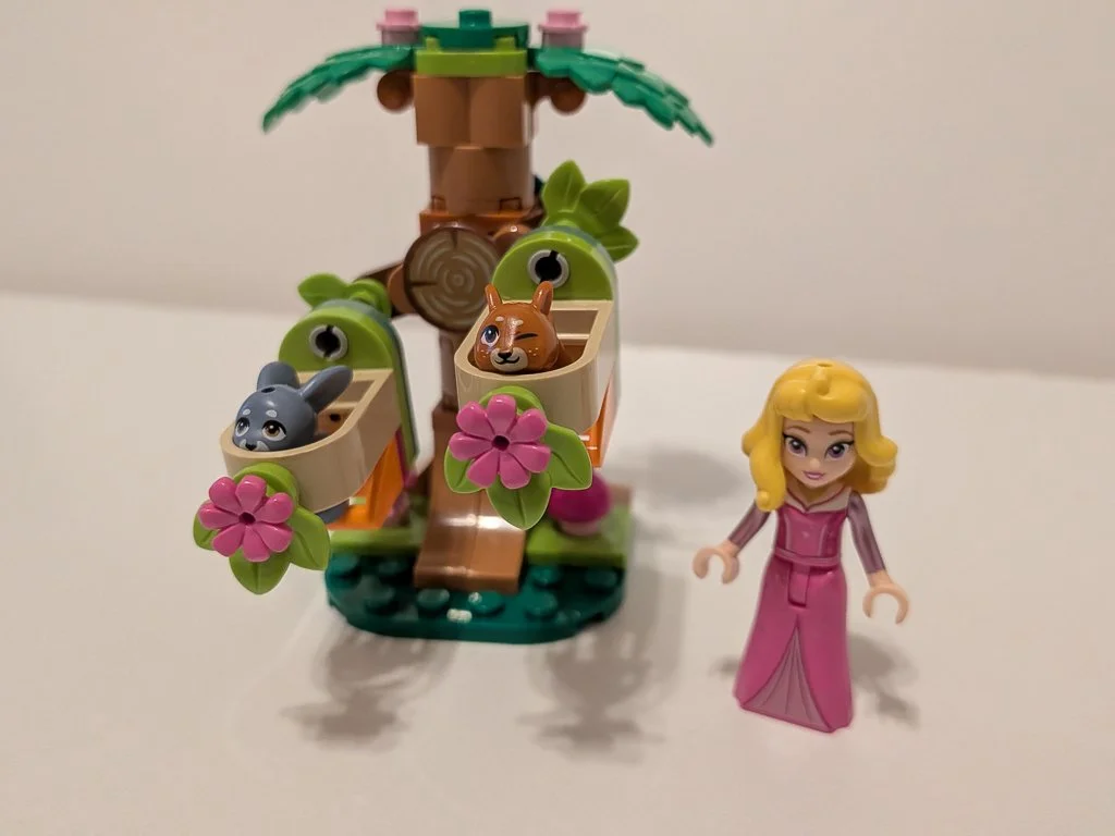 Aurora's Forest Playground (NIB)