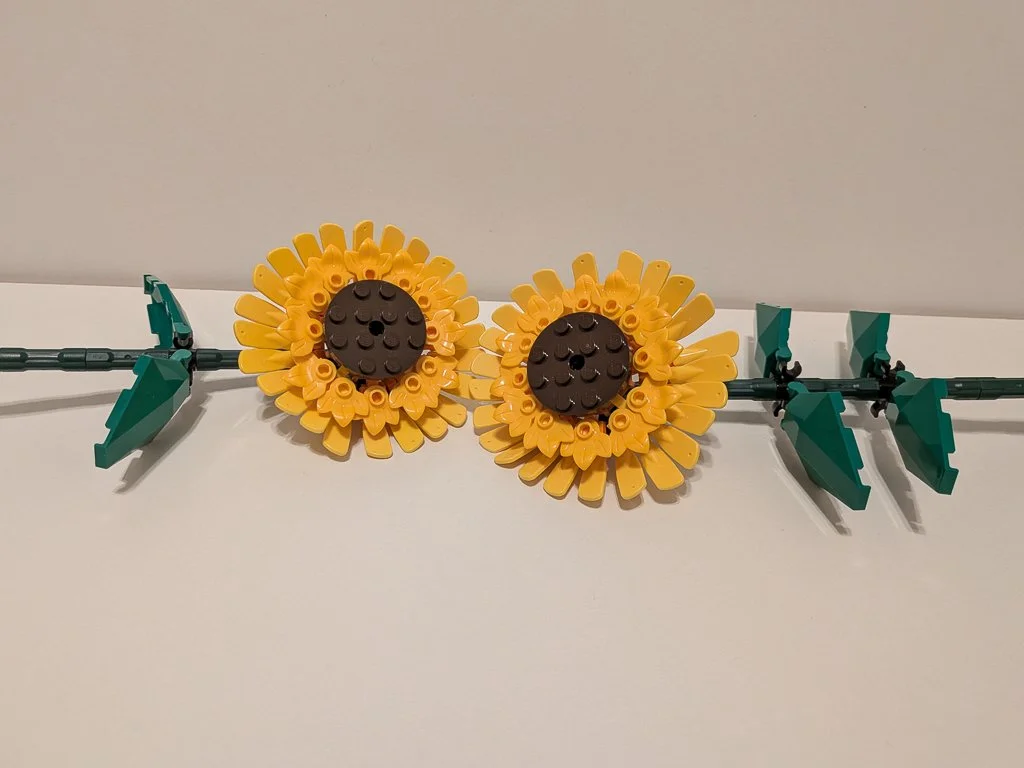 40524f.jpg