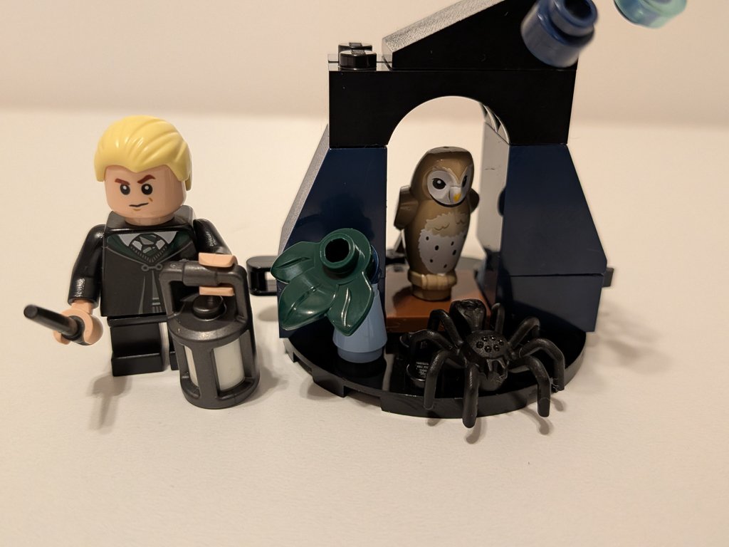 Draco in the Forbidden Forest (NIB)