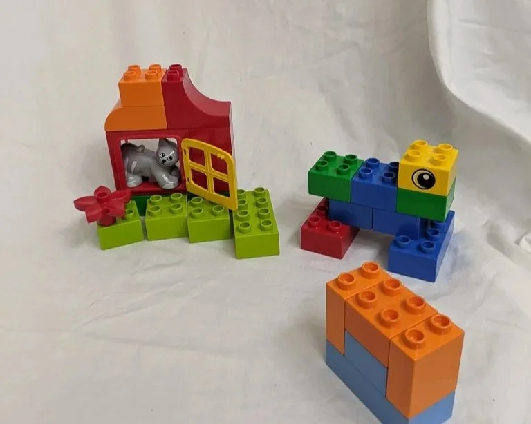 5416a.jpg