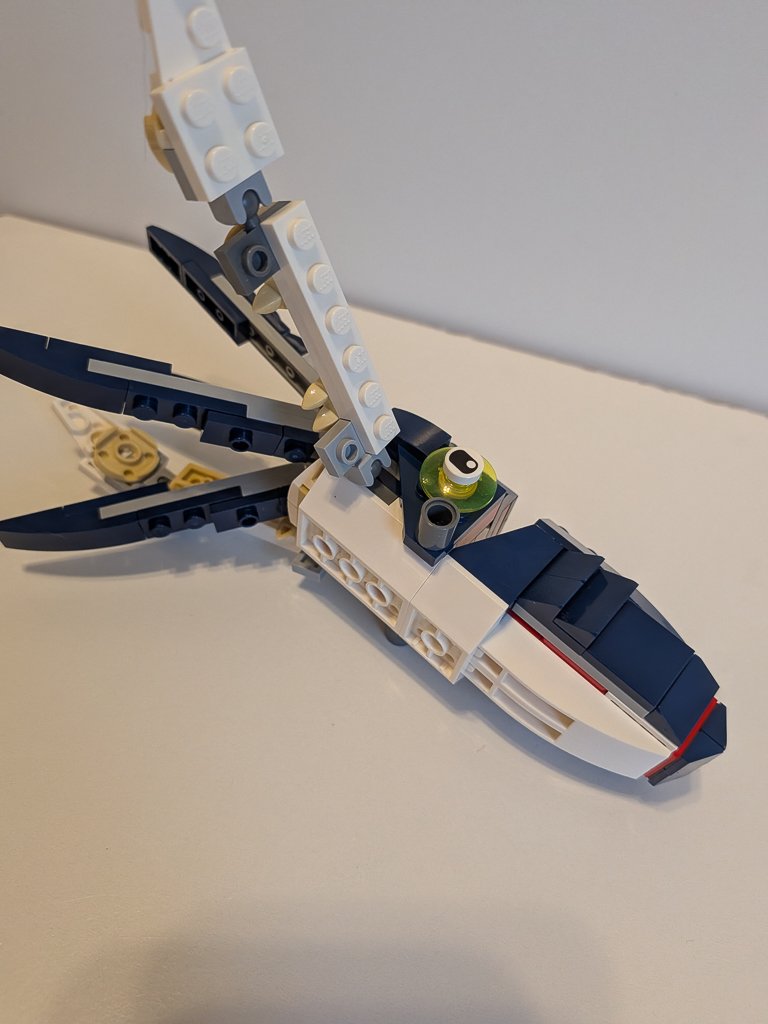 31088p.jpg