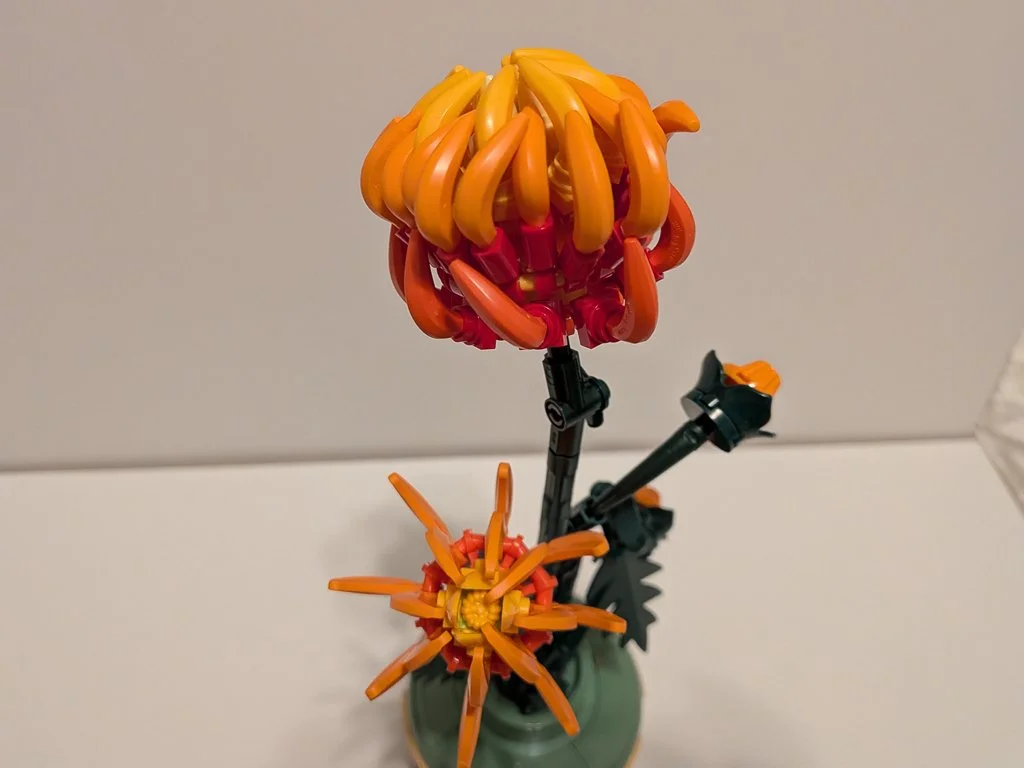 10368i.jpg