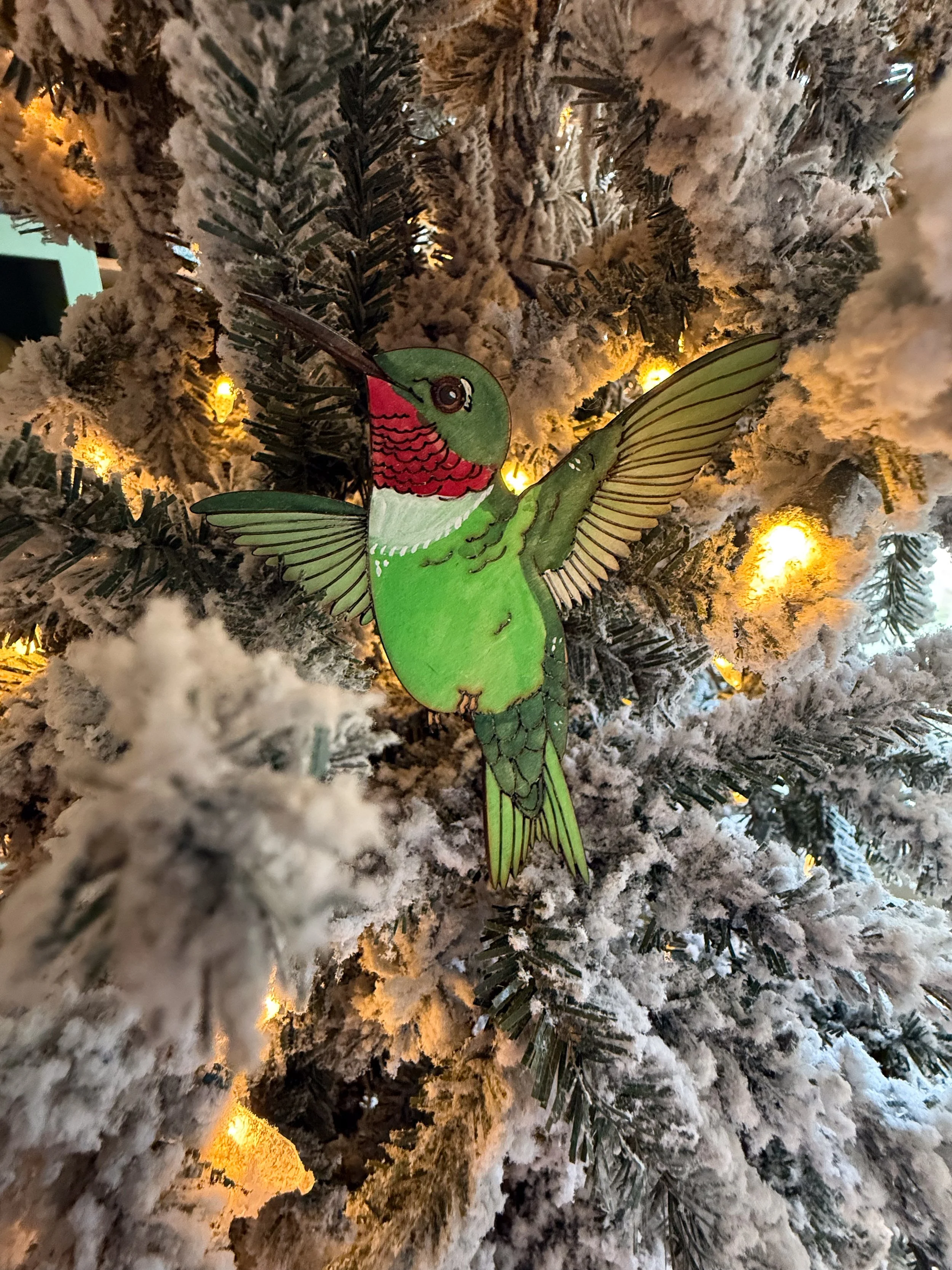 Painted Hummingbird