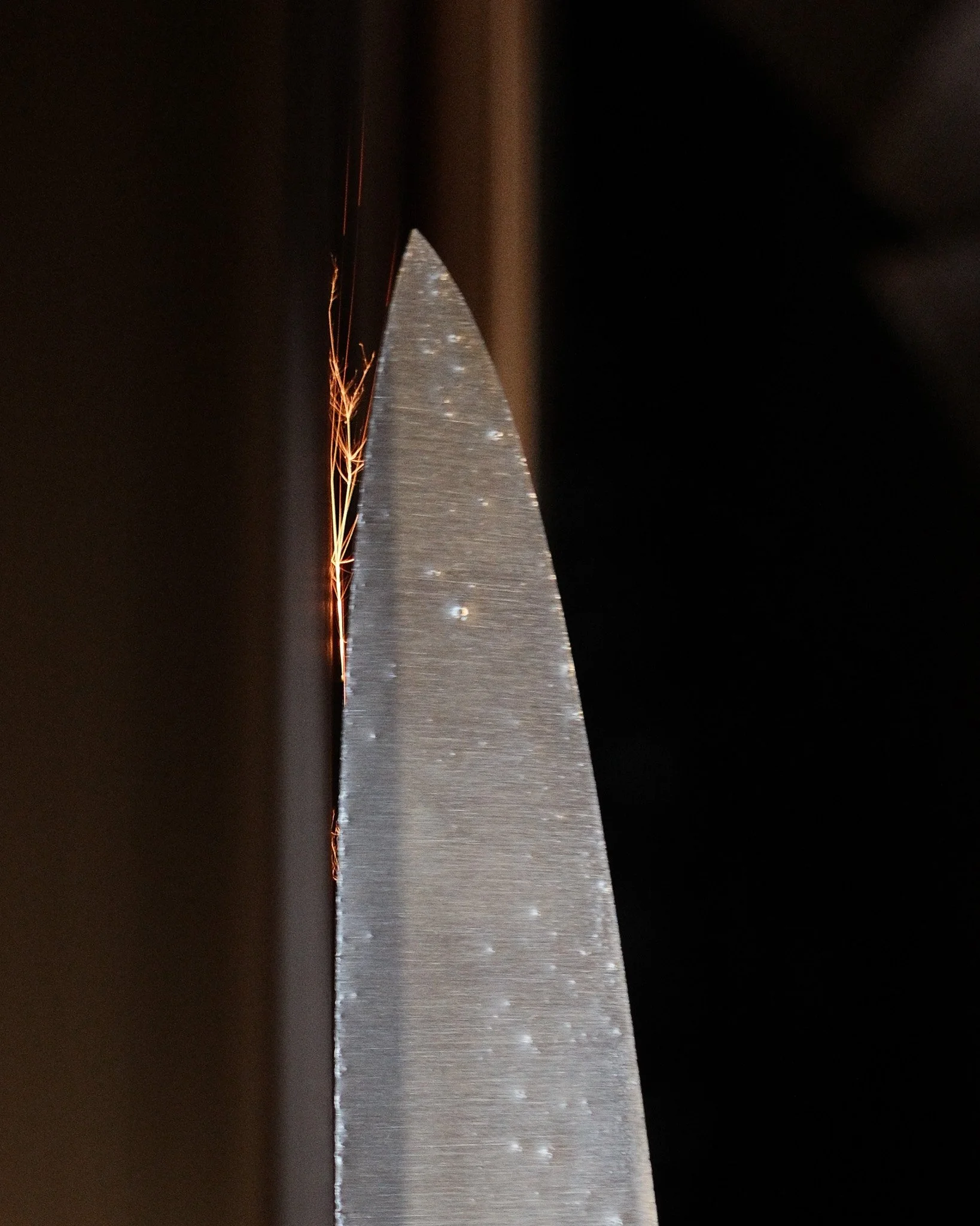 XE050341.jpg
