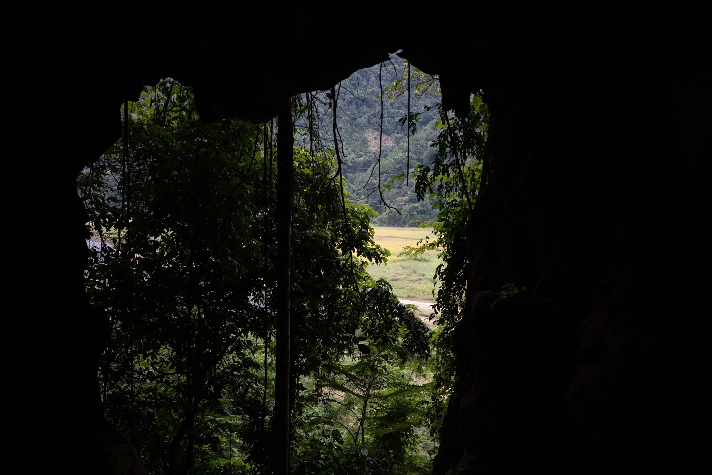  - _DSC0912 - Barry Jossen.jpg