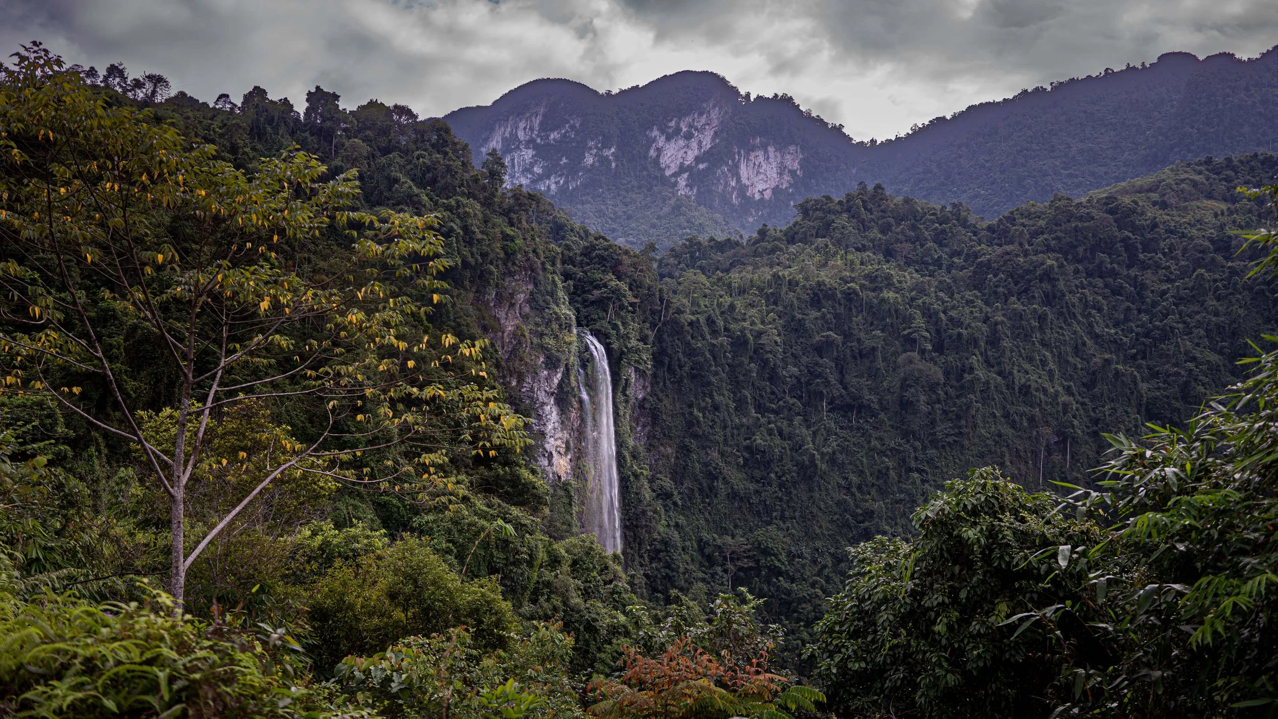  - _DSC1149 - Barry Jossen.jpg