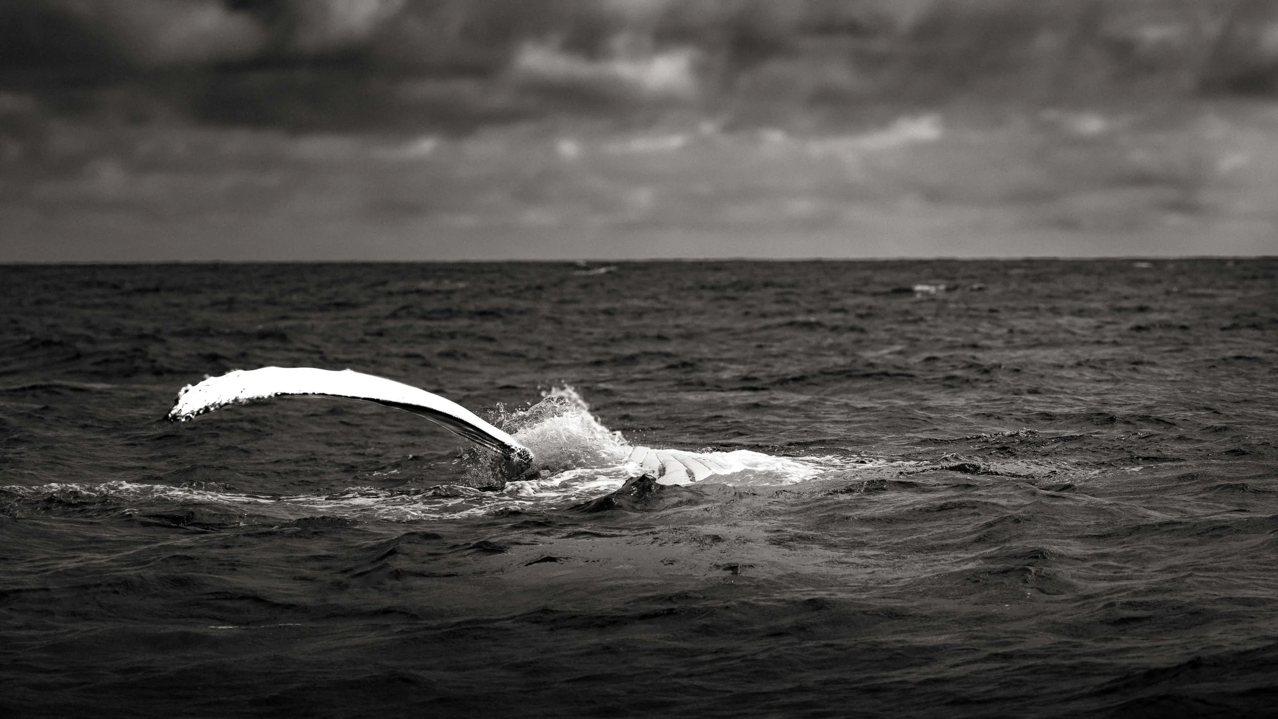 Tonga - Barry Jossen -008.jpg