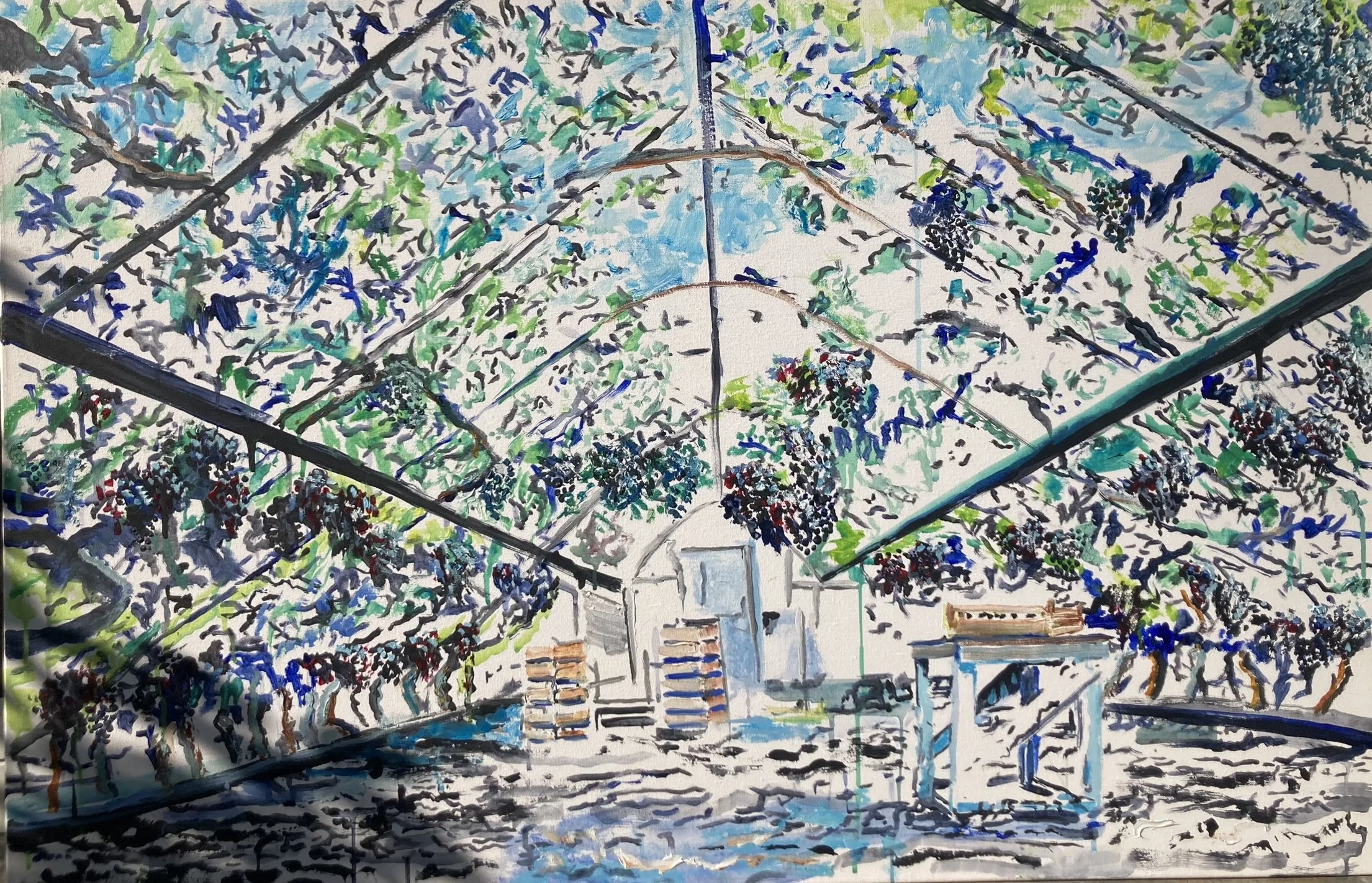 Grape Greenhouse (115x75)