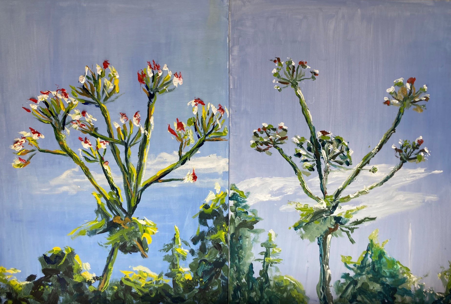 Twinset Wild Flowers R (60x80)