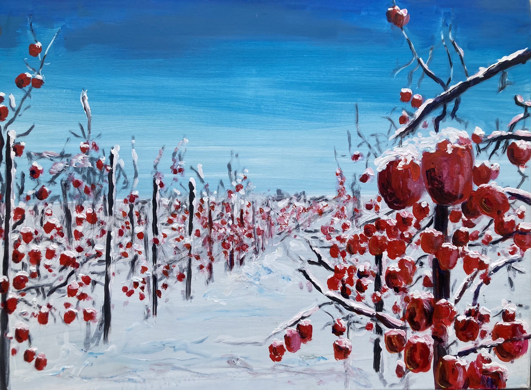 Red appeltrees (80x60)