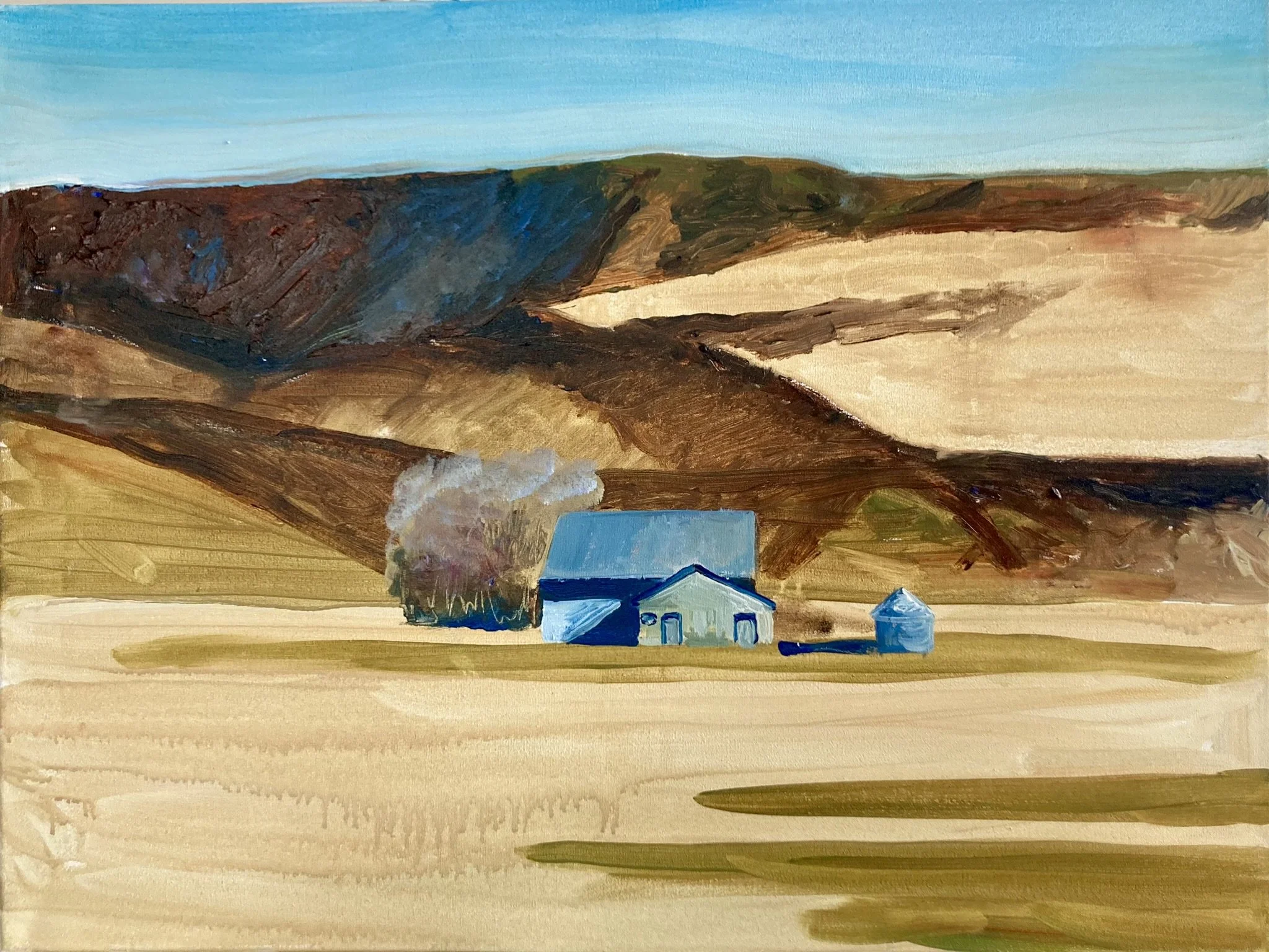Desert Dwelling (80x60)