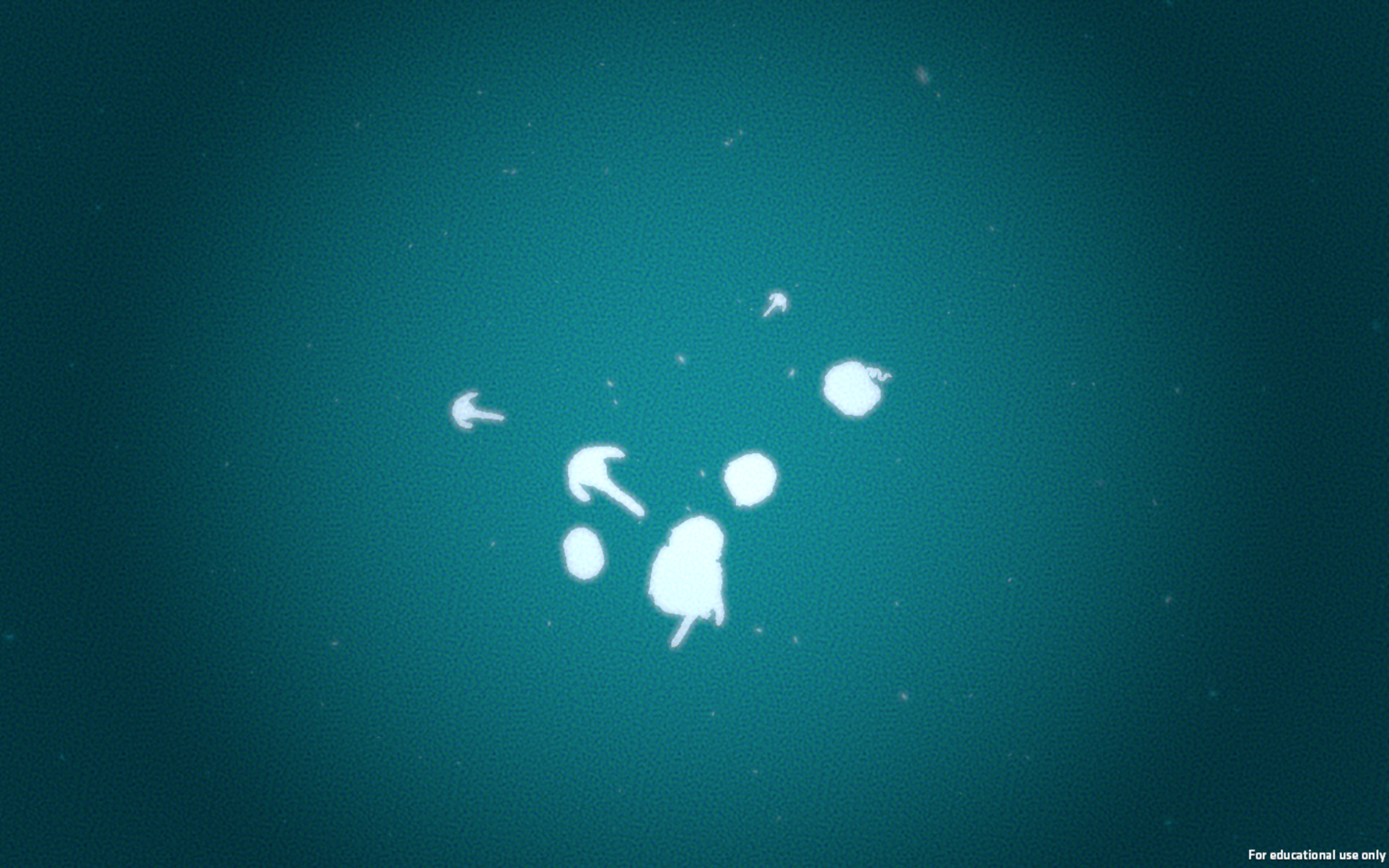 Screen+Shot+2020-04-21+at+1.12.33+PM.png