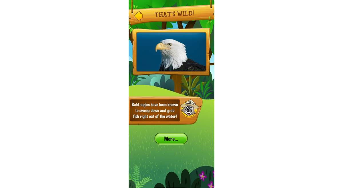 Go+Wild+5.png