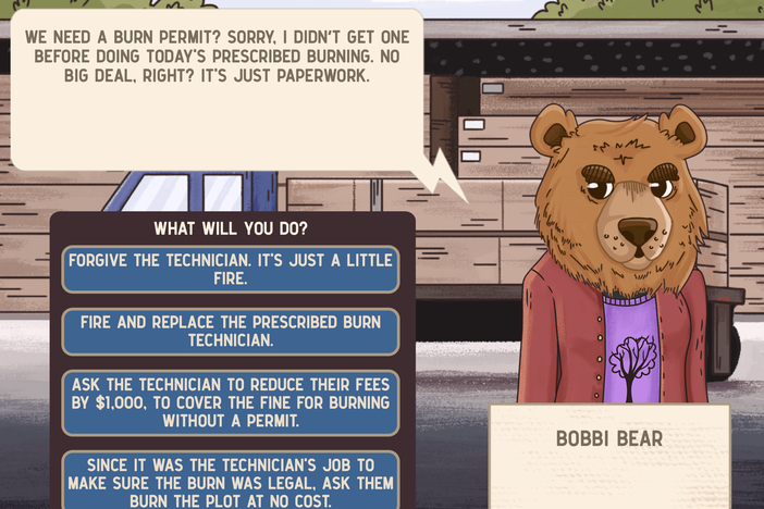 mtp-image3.png