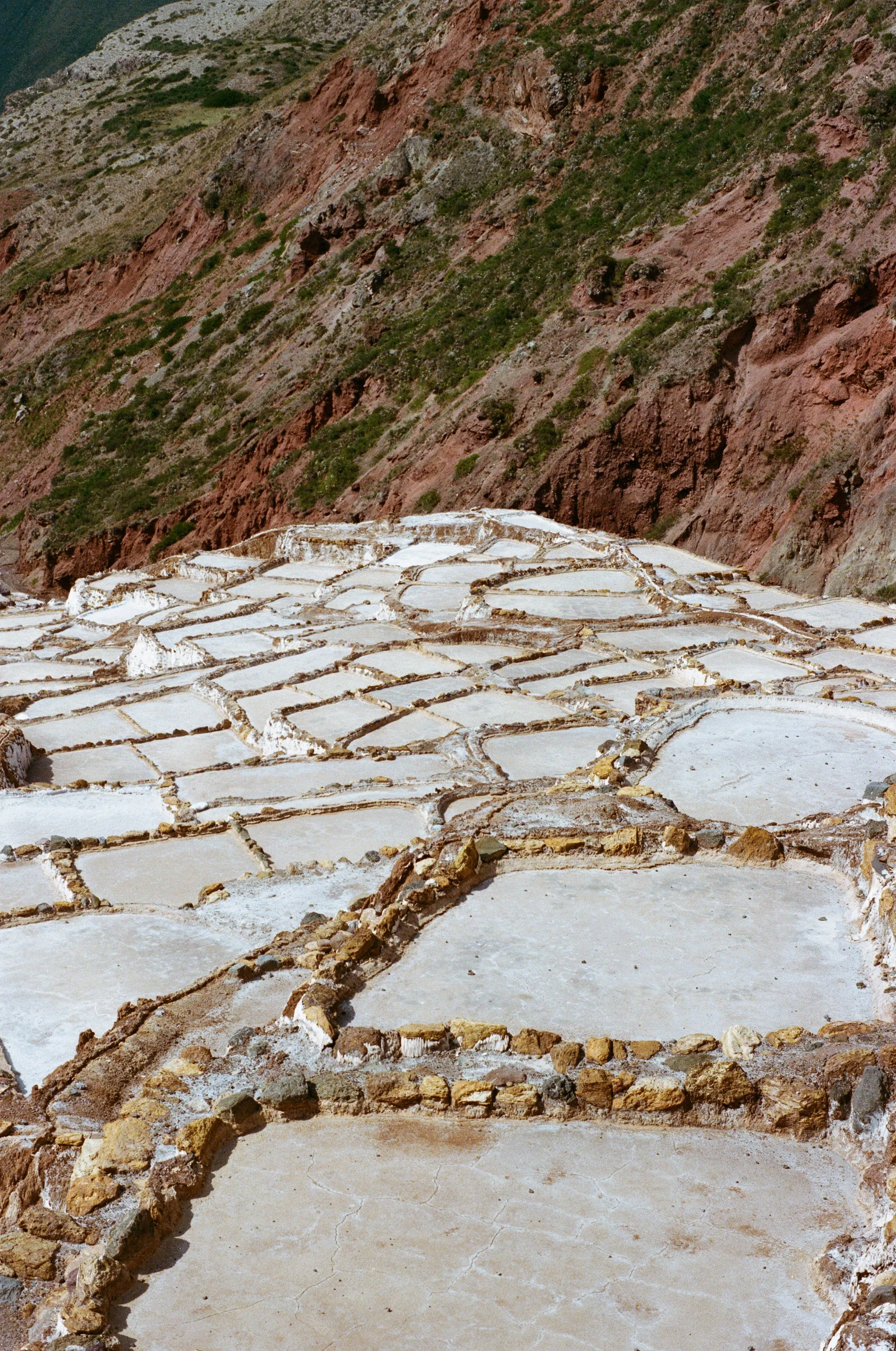 000047560034 (1).jpg