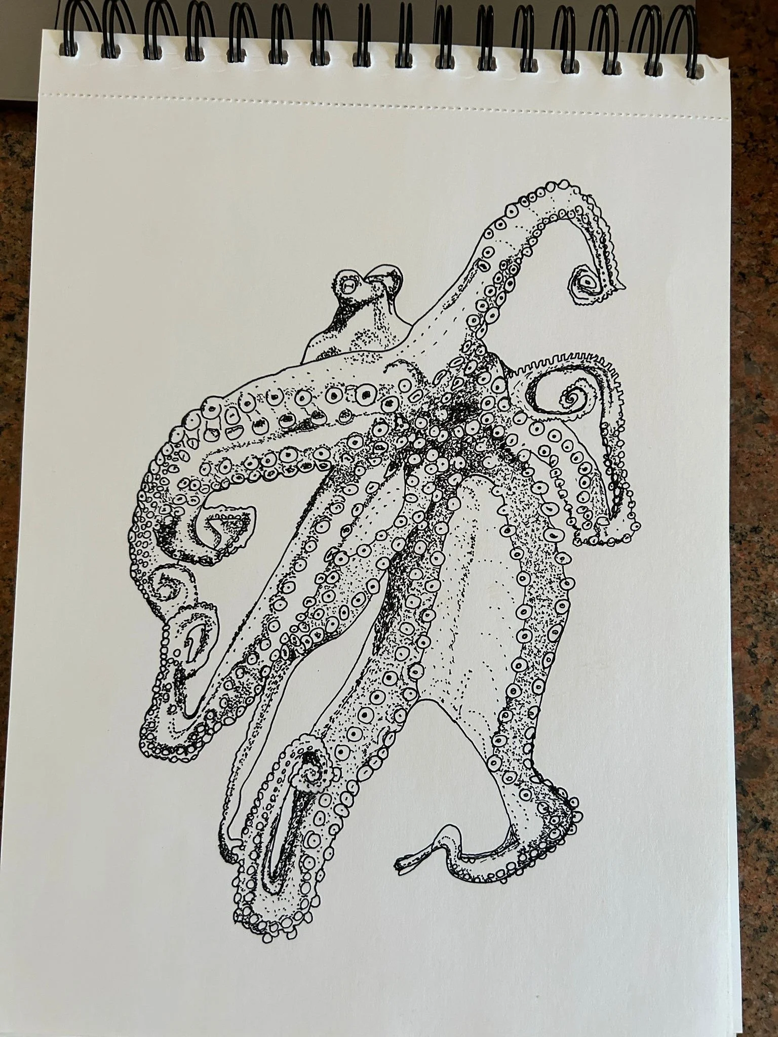 1e7cca8c-6f21-4e16-83b5-f053a7e218ad 2.JPG