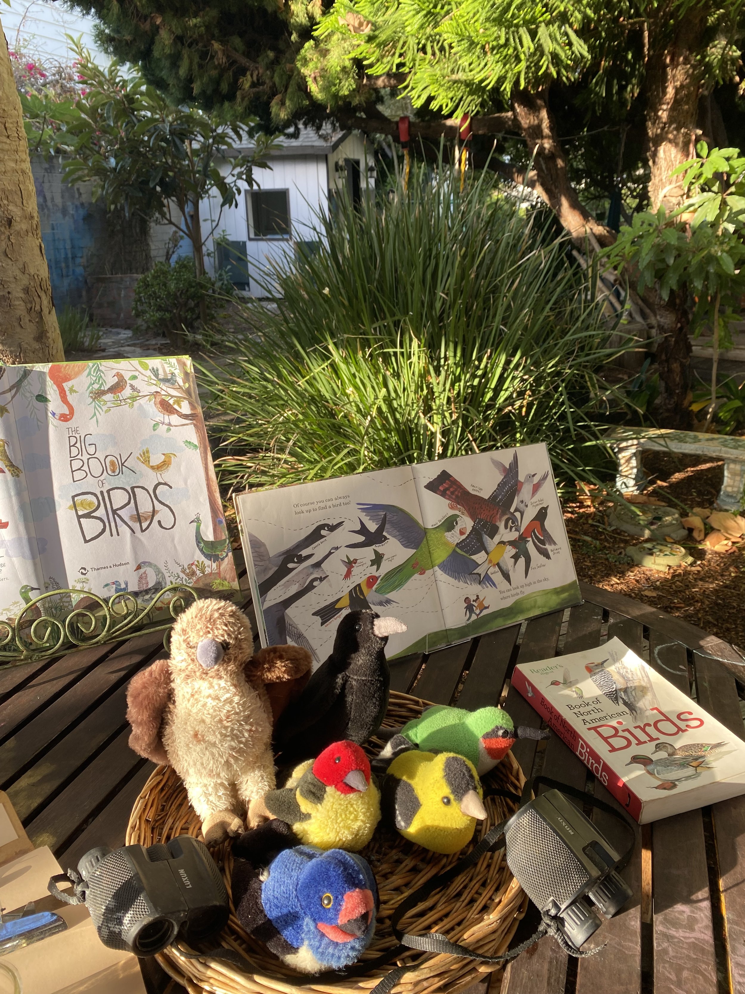 Childrens books depicting birds