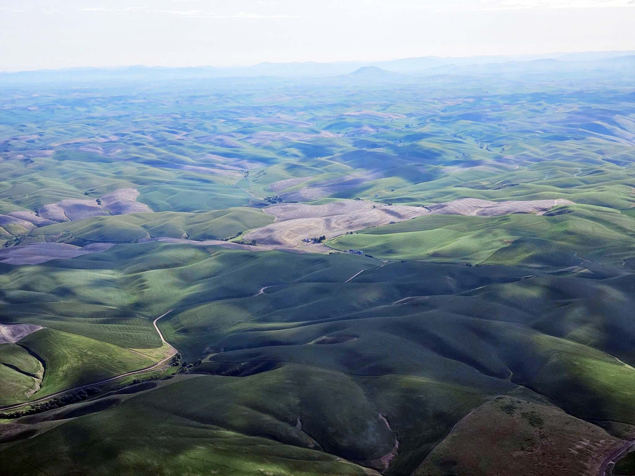 From the Dye small plane, looking at the unprecedented beauty of the Palouse farmland pre-industrial wind energy projects.