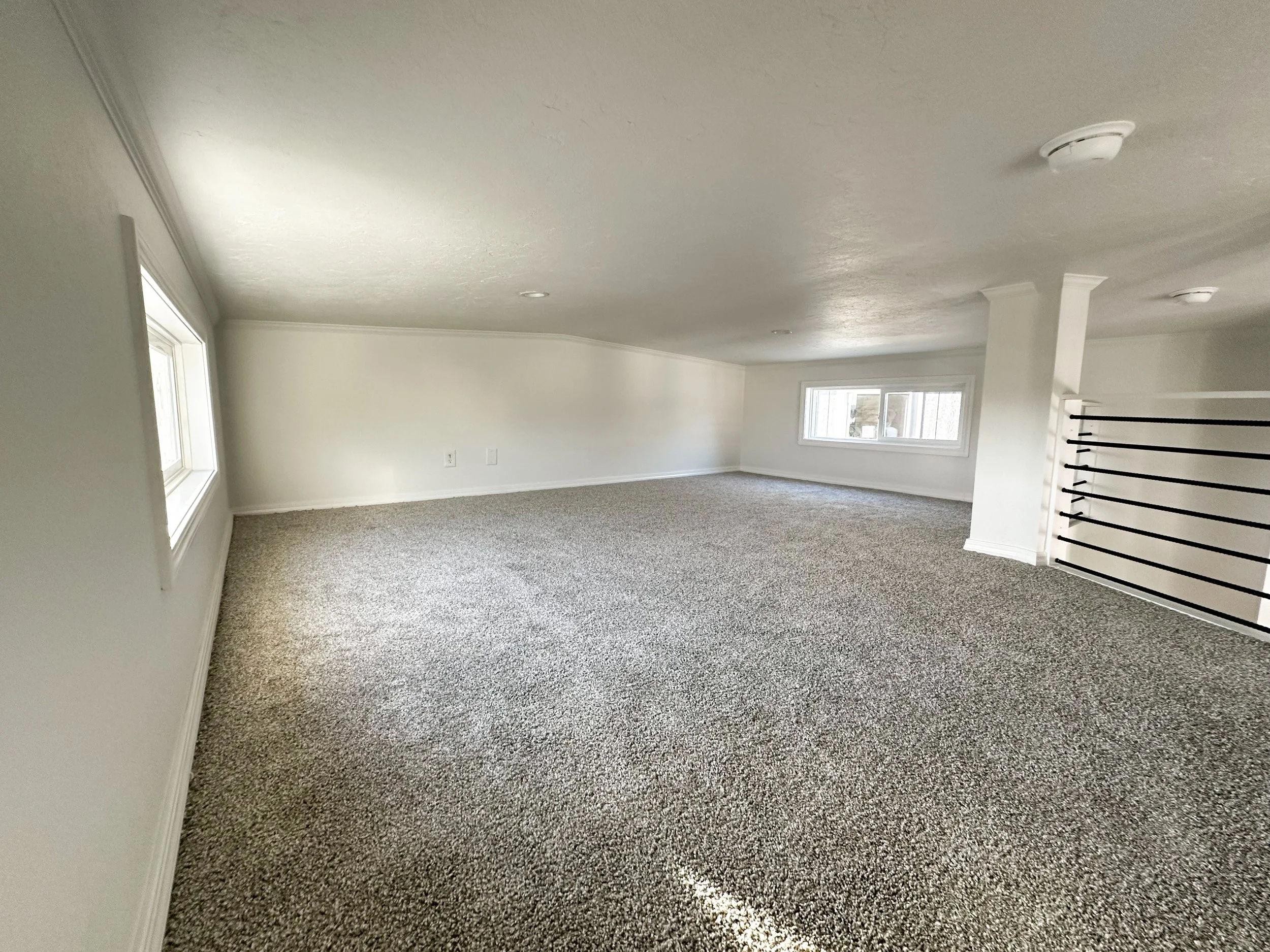 Ponderosa loft
