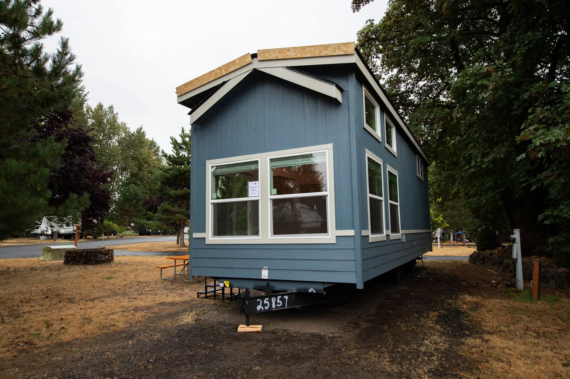 Toutle-Alder-01.jpg