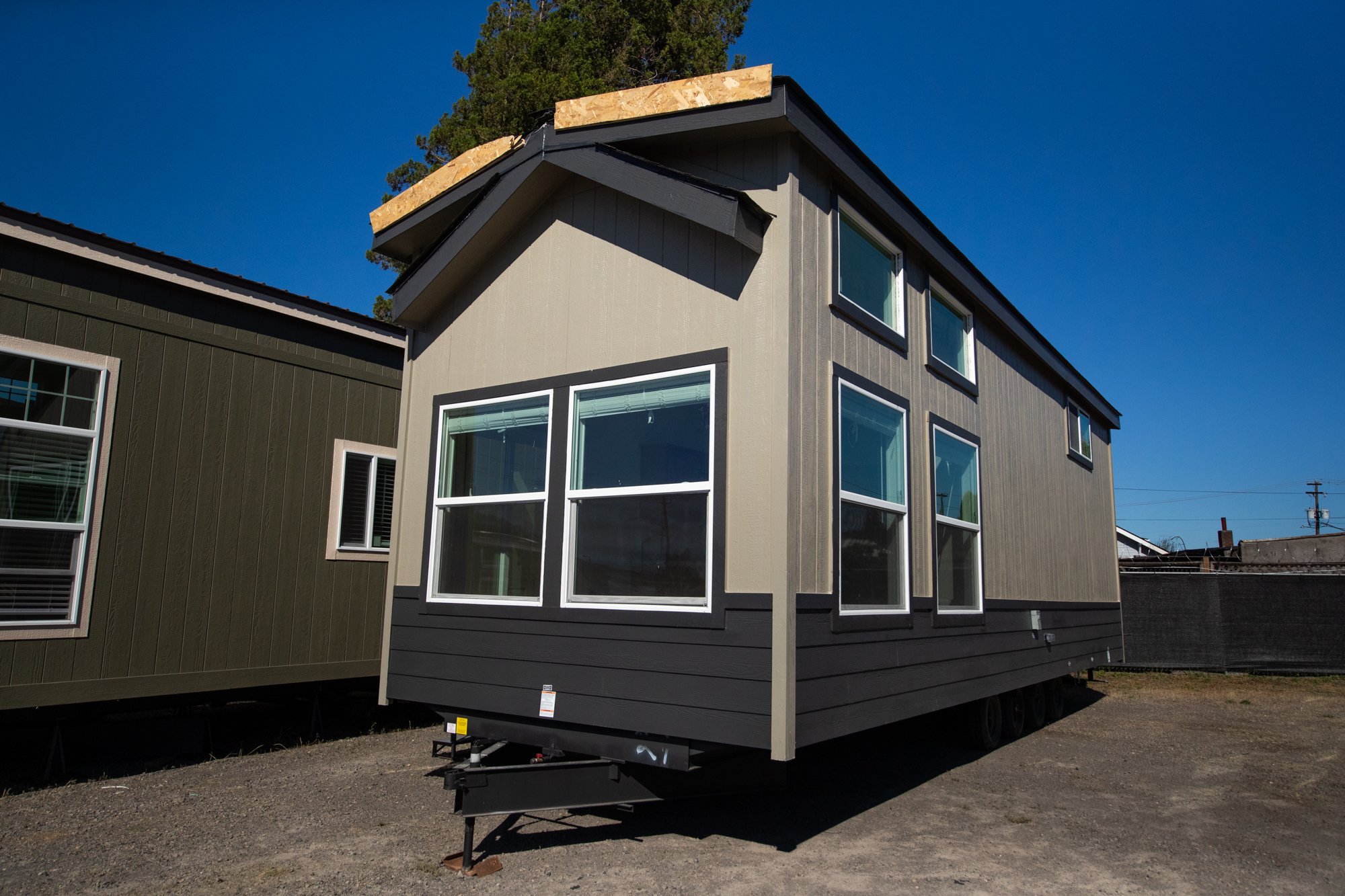 WEB Alder 7 Inventory NWT -1.jpg