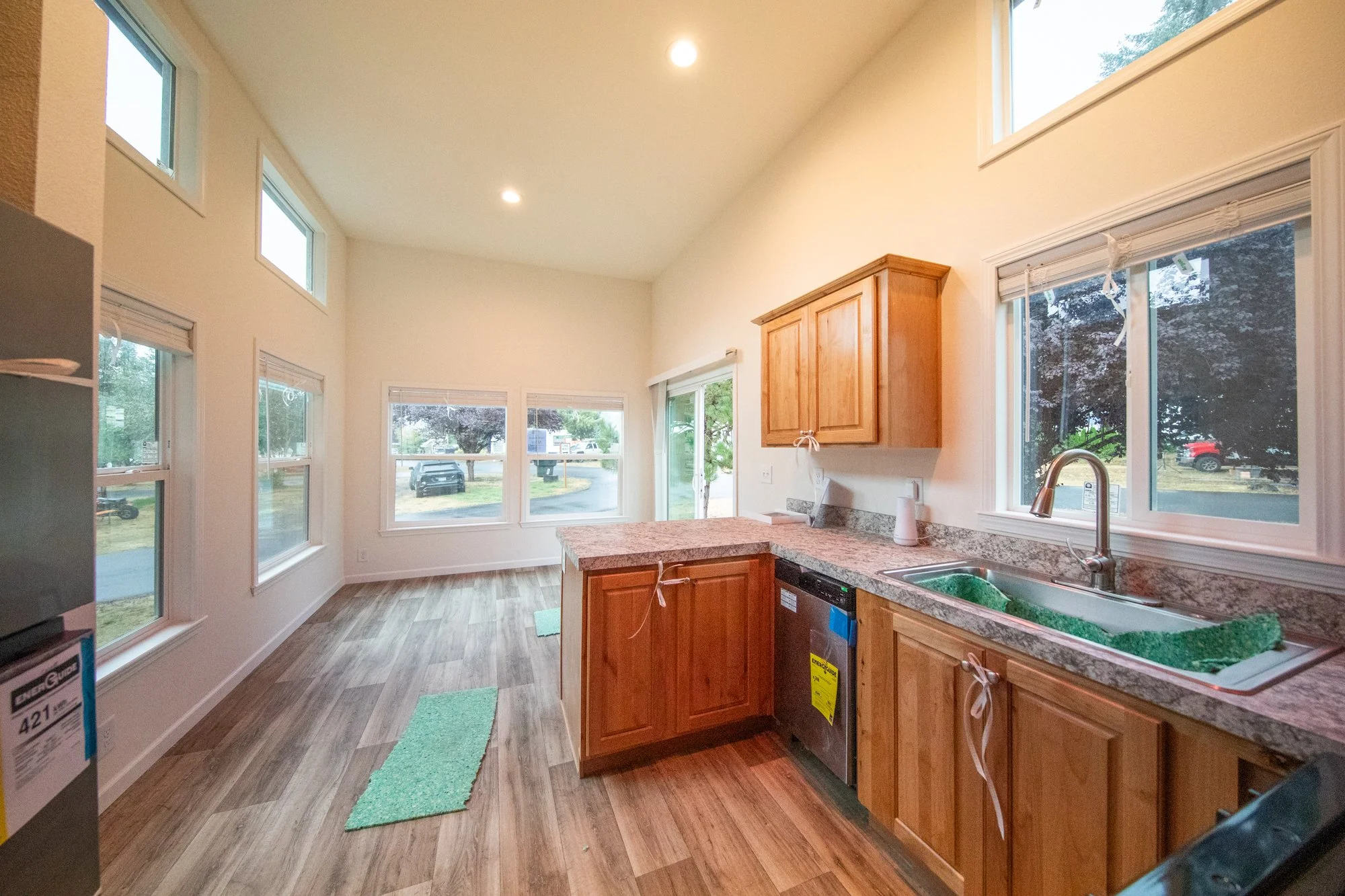 Toutle-Alder-11.jpg