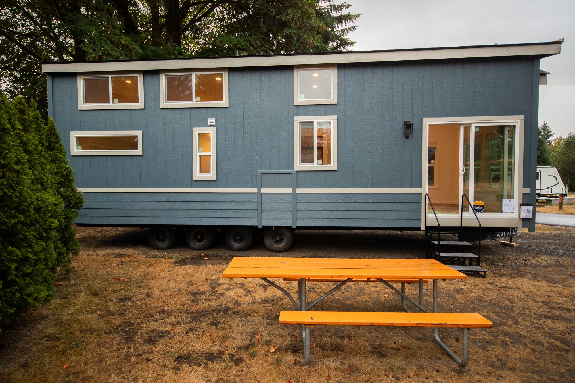 Toutle-Alder-03.jpg