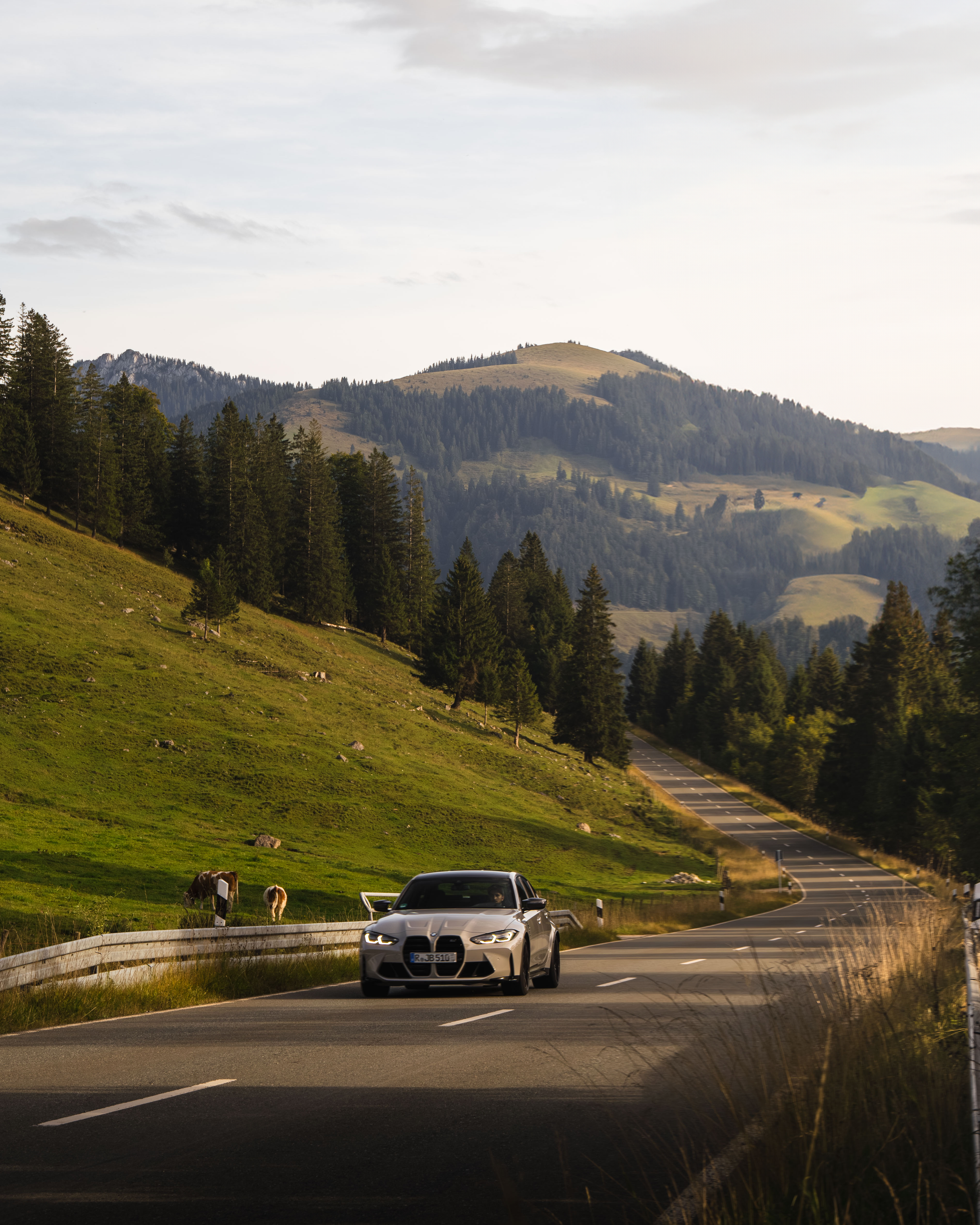 untitled (1 of 1)-5.png