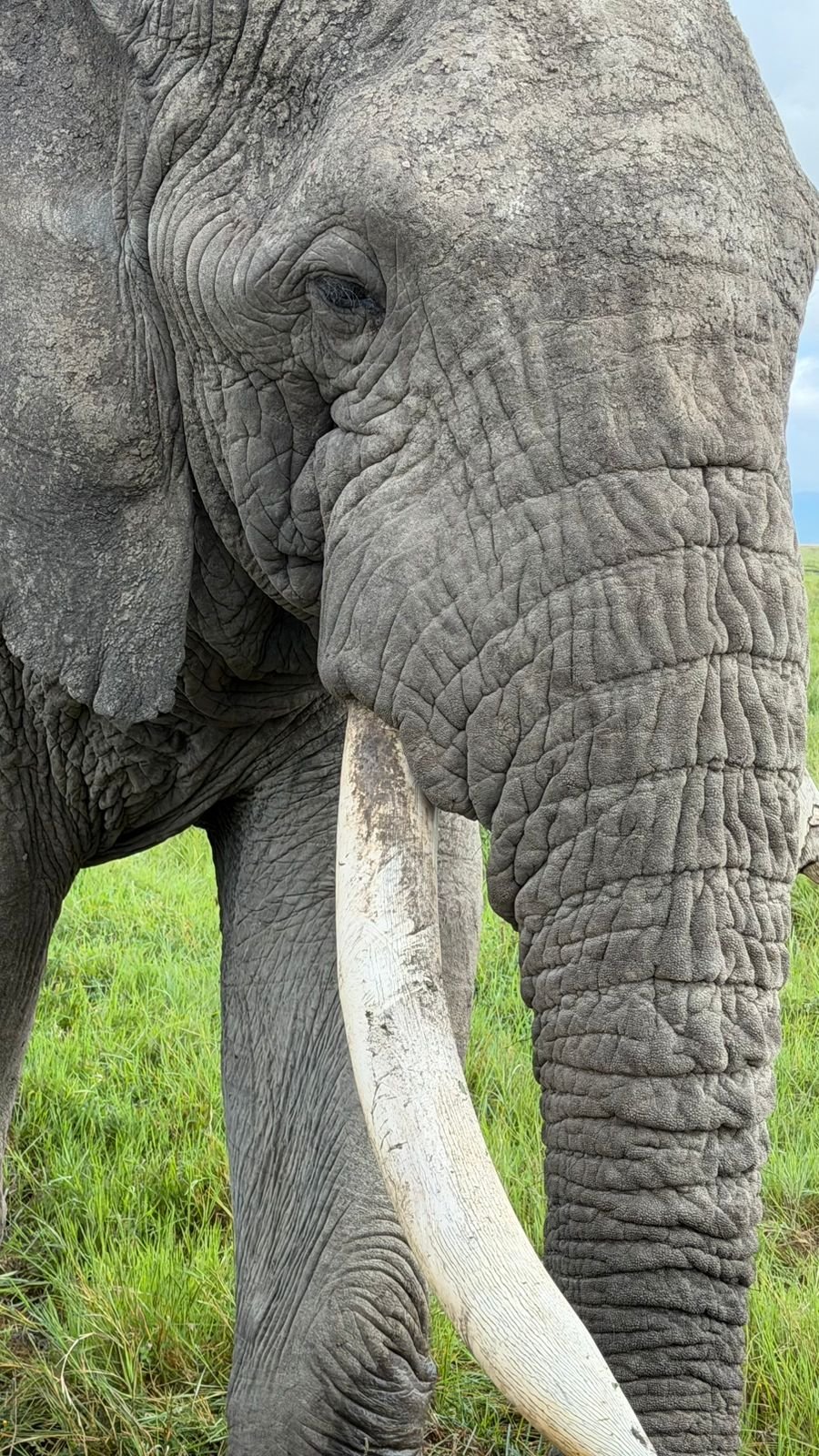 Tanzania Luxury Expedition 2026