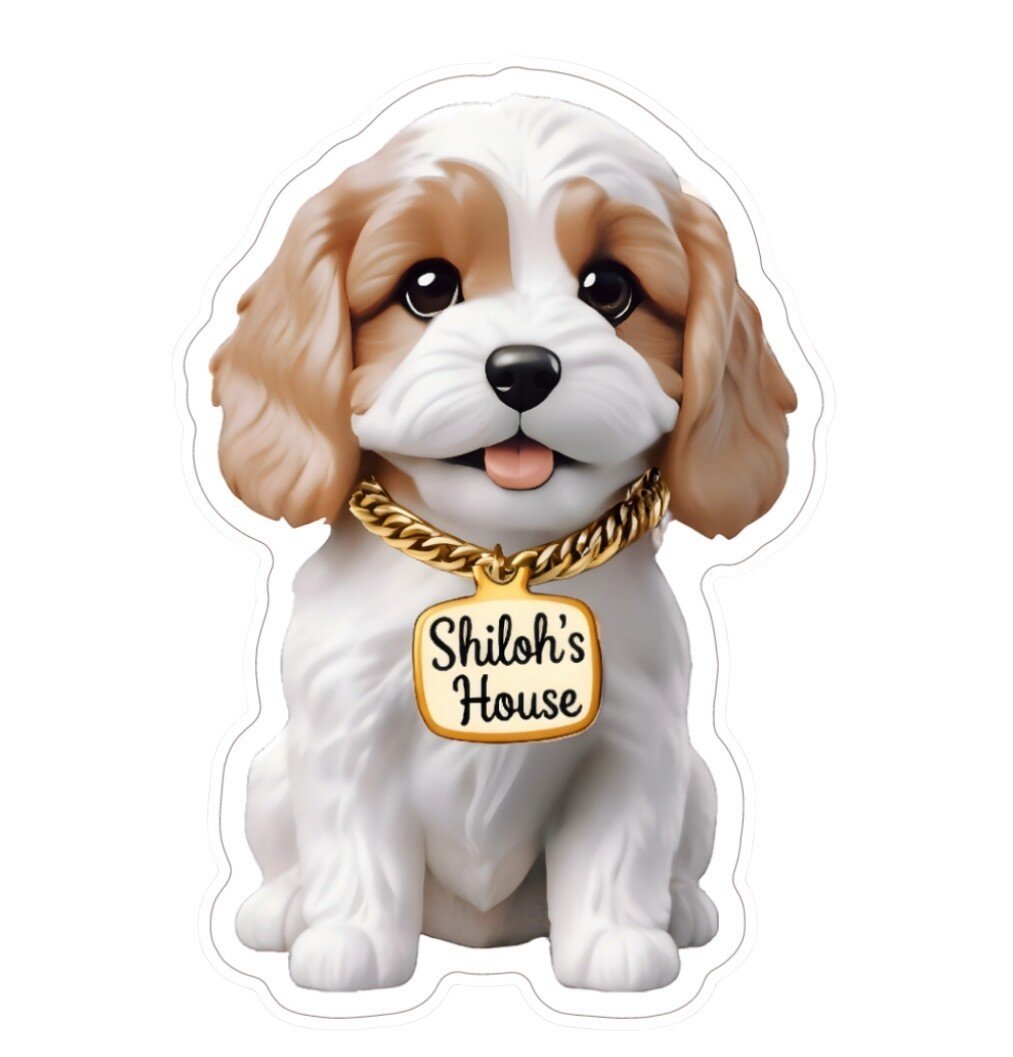 New, trendy, fun & secure Pet Tags (with QR Code) - Shiloh's House
